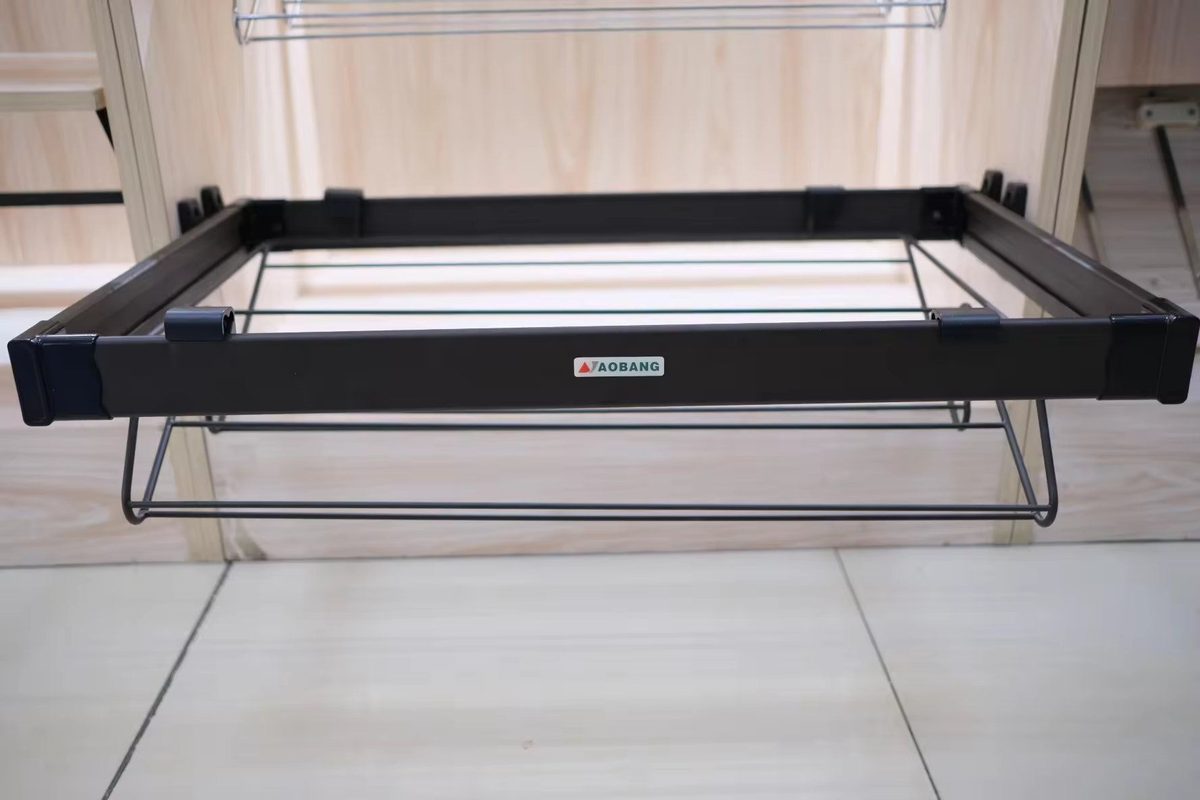 Modern Design Pull-out Shoe Rack 765*465*175mm High Quality Steel Full Extension Slide for Wardrobe - 2026 Moder